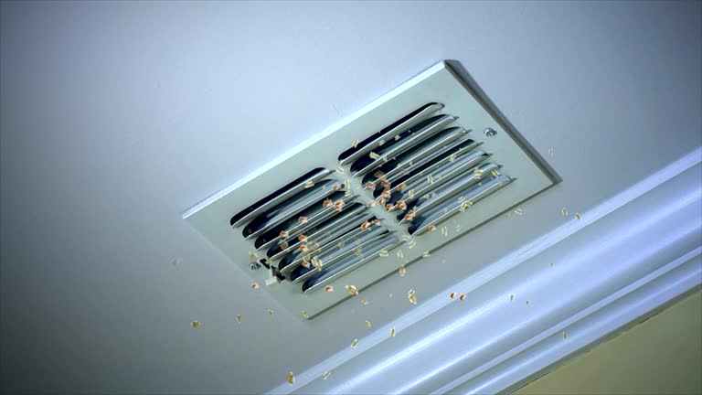 Best Air Vent Cleaning Services  in Erda, UT